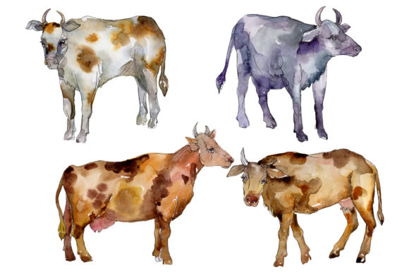 Agriculture Cow Watercolor Illustrations for Polished Content Design