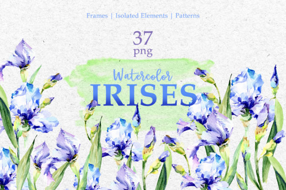 Blue Watercolor Irises PNG Set for Creative Illustrations