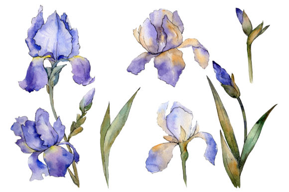 Bouquet Fairy Watercolor: A Versatile Illustration for Creative Sellers