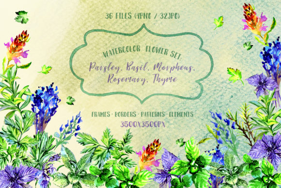 Bouquet of Herbs Watercolor Set: A Practical Illustration Review for Digital Sellers