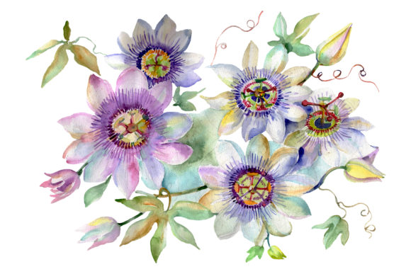 Bouquet of Spring Hello Watercolor: A Versatile Illustration for Content Creators