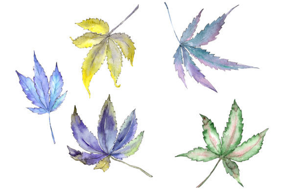 Cannabis Plant Watercolor: A Versatile Illustration for Modern Branding