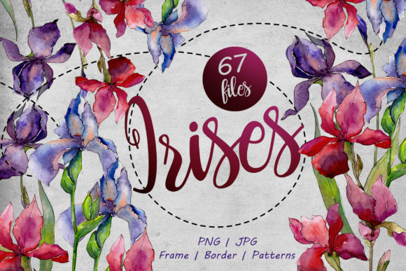Colorful Irises Watercolor Set: A Vibrant Illustration for Modern Branding
