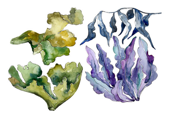 Coral Sarcophiton Watercolor: A Fresh Touch for Editorial Design