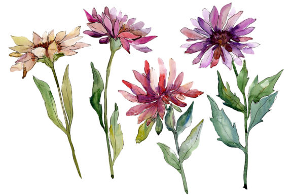 Divine Sweetness Watercolor: A Versatile Illustration for Modern Branding