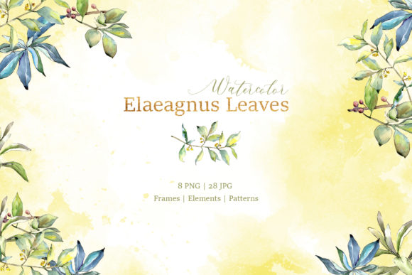 Elaeagnus Leaves Watercolor for Illustrations: A Seller’s Review