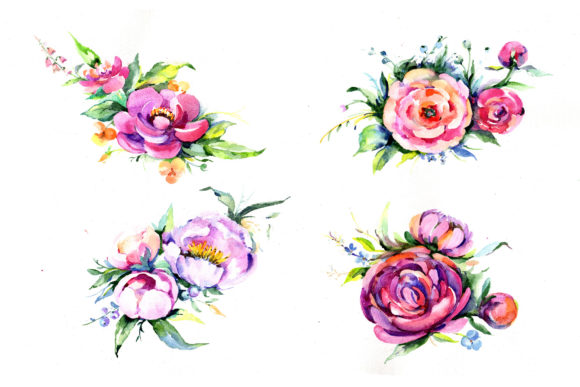 Elegant Pink Watercolor Flower Illustrations for Polished Content