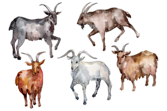 Farm Animals Goat Watercolor Review for Real Embroidery Projects