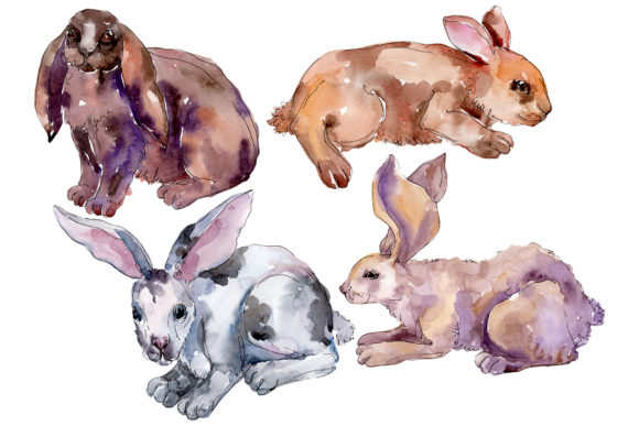 Farm Animals Rabbit Watercolor for Local Business Branding