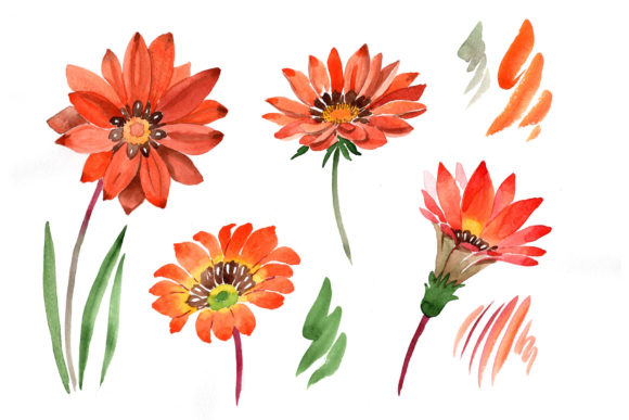 Flower Orange Gazania Watercolor Set: A Vibrant Design Asset for Creative Projects
