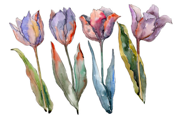 Flowers Tulips Fiery Hello Watercolor: A Vibrant Illustration for Creative Content