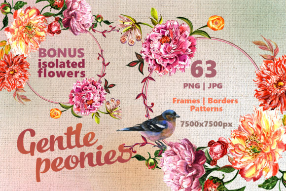 Gentle Peonies Watercolor Set: A Soothing Illustration for Creative Projects