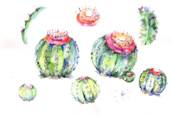Green Tropical Cactuses Watercolor Set Review for Real Crafting