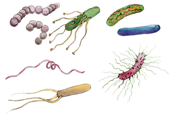 Microbes 1 Watercolor Png: A Fresh Graphic Design Asset for Creative Publishers