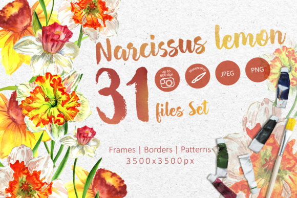 Narcissus Lemon Watercolor Flower Set: A Fresh Illustration for Modern Design Projects