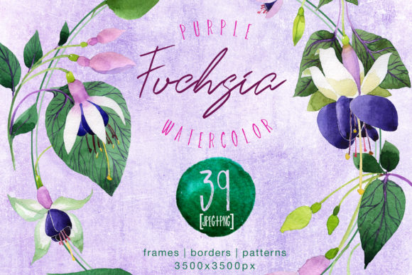 Purple Fuchsia Watercolor Flower Set: A Versatile Graphic Design Asset for Crafters