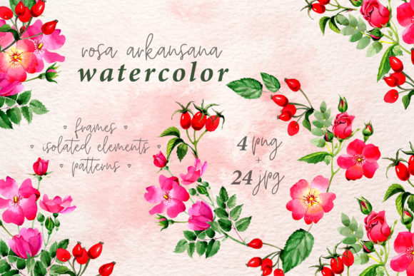 Rosa Arkansana Watercolor Set for Real Crafting and Illustrations