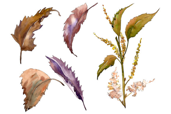 Sweet Chestnut Watercolor Leaves Set Review for Real Embroidery Projects