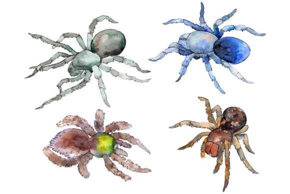 Tarantula Exotic Watercolor: A Bold Illustration for Branding and Packaging