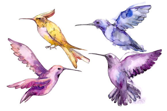 Tropical Colibri Birds Watercolor Set Review for Real Embroidery Projects