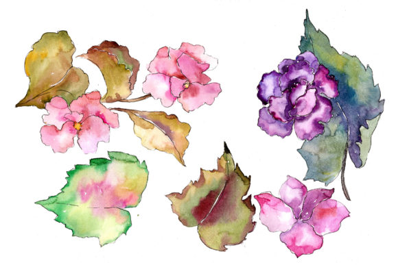Tropical Pink Gardenia Watercolor Flower Set Review for Real Projects
