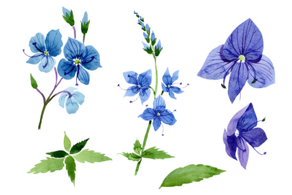Veronica Flower Blue Watercolor Illustrations: A Versatile Graphic Design Asset for Handmade Creators
