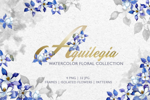 Watercolor Blue Aquilegia: A Versatile Illustration for Creative Content