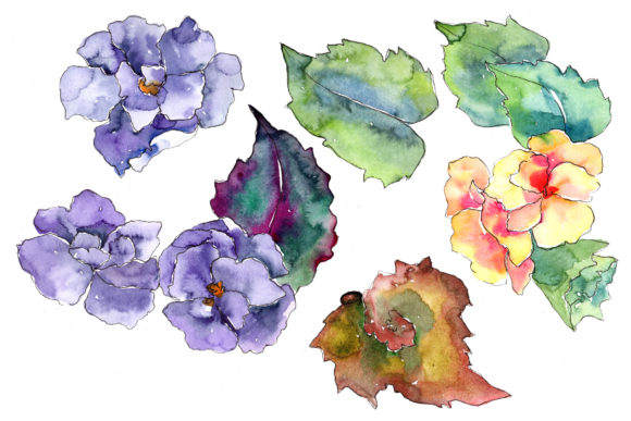 Watercolor Gardenia Wildflower Set Review for Real Crafting Projects