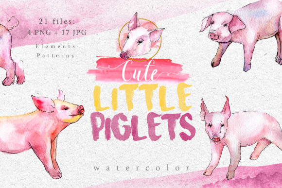 Watercolor Pink Pig Set for Brand Illustrations