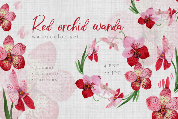 Watercolor Red Orchid Wanda Set: A Polished Illustration for Content Creators
