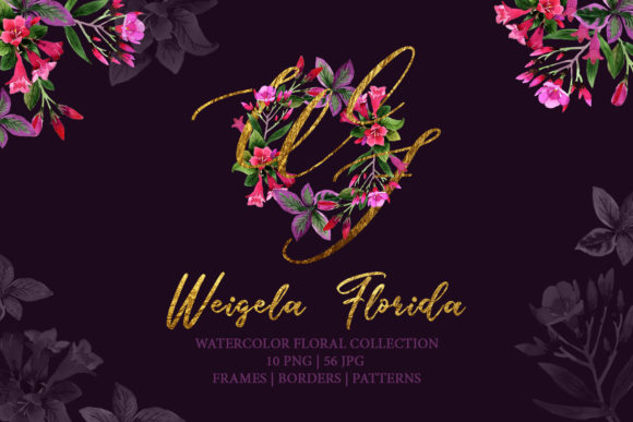 Weigela Florida Watercolor Illustrations for Authentic Branding