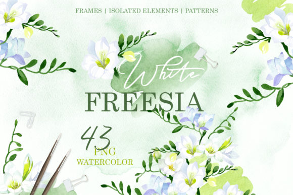White Freesia Watercolor Illustration Review for Digital Sellers