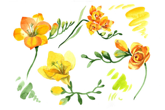 Wildflower Yellow Freesia Watercolor Set for Illustrations