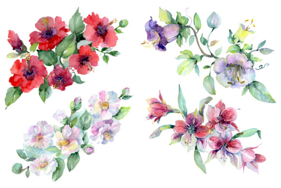 Wildflowers Morning Dawn Watercolor for Commercial Illustrations